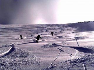 powder made in Iceland