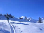 arrivo all'ultima stalla 