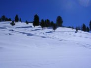 la bella parte mediana