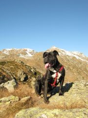 Karis al Bric Paglie, ottobre 2011