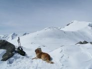 Punta Marmottere dal colle