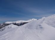 fuori dal bosco