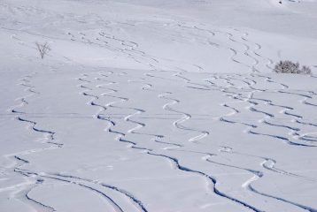 tracce vecchie e nuove