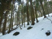 Nel bosco