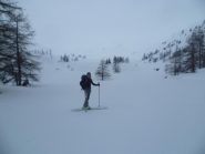 Uscita dal bosco