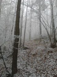 Verso il canalone