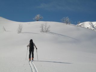 I PRIMI PANETTONI MOLTO INVITANTI