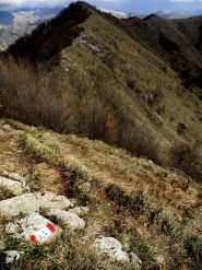 Cresta verso Scoffera