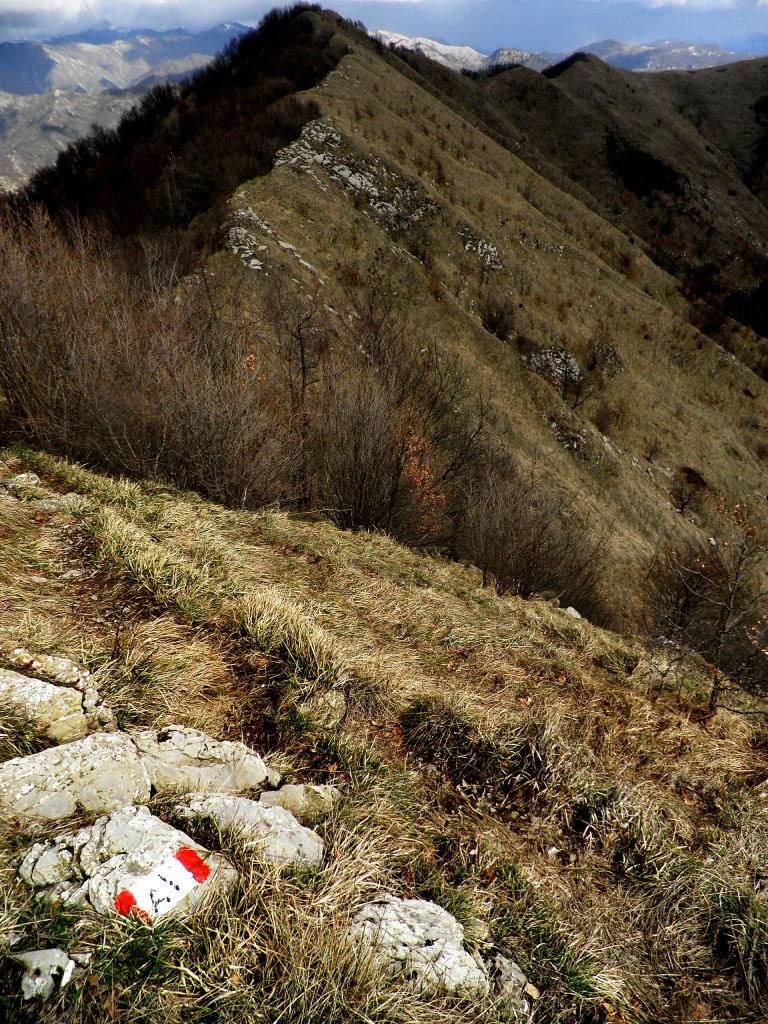 Cresta verso Scoffera