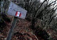 segnavia Alleanza+percorso E1