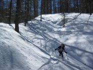 divertimento assicurato