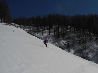 firn fino all'auto