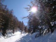Salendo verso le Grange dei Prati Costis