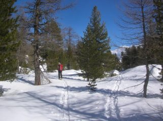 Il bosco sotto la cappella di Muni