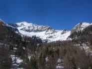 Il Voghel