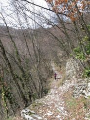 la bella mulattiera di discesa