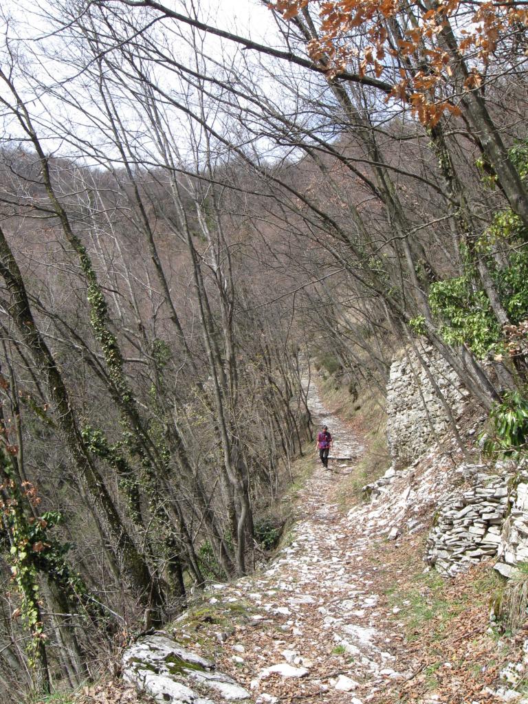 la bella mulattiera di discesa