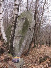 il bel pannellone del masso 6
