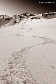 Due curve per una firma