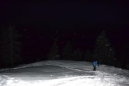 Ore 5, ravanamenti nel bosco 