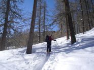 la traccia di salita nel bosco...