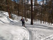 nel bosco