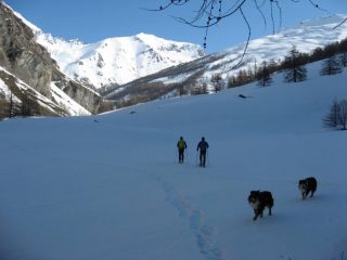 sui bei pratoni sopra Rochemolles