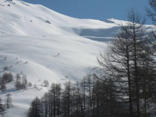 ...promette bene...