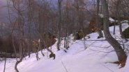 la traccia in basso, tra i faggi
