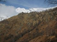 Panorama sulle Quinzeine