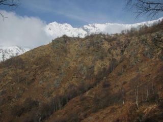 Panorama sulle Quinzeine