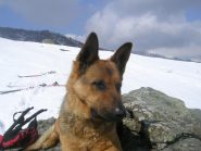 la nostra compagna di gite