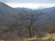 valle del Savenca