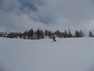 primaverile perfetta!