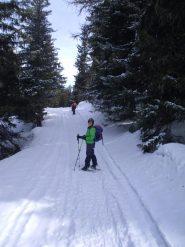 in salita nel bosco...