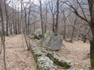 bei massi nel bosco