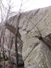 un bel highball con tanto di bonsai annesso