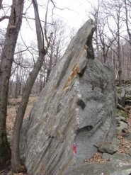 la bellissima placca hassan