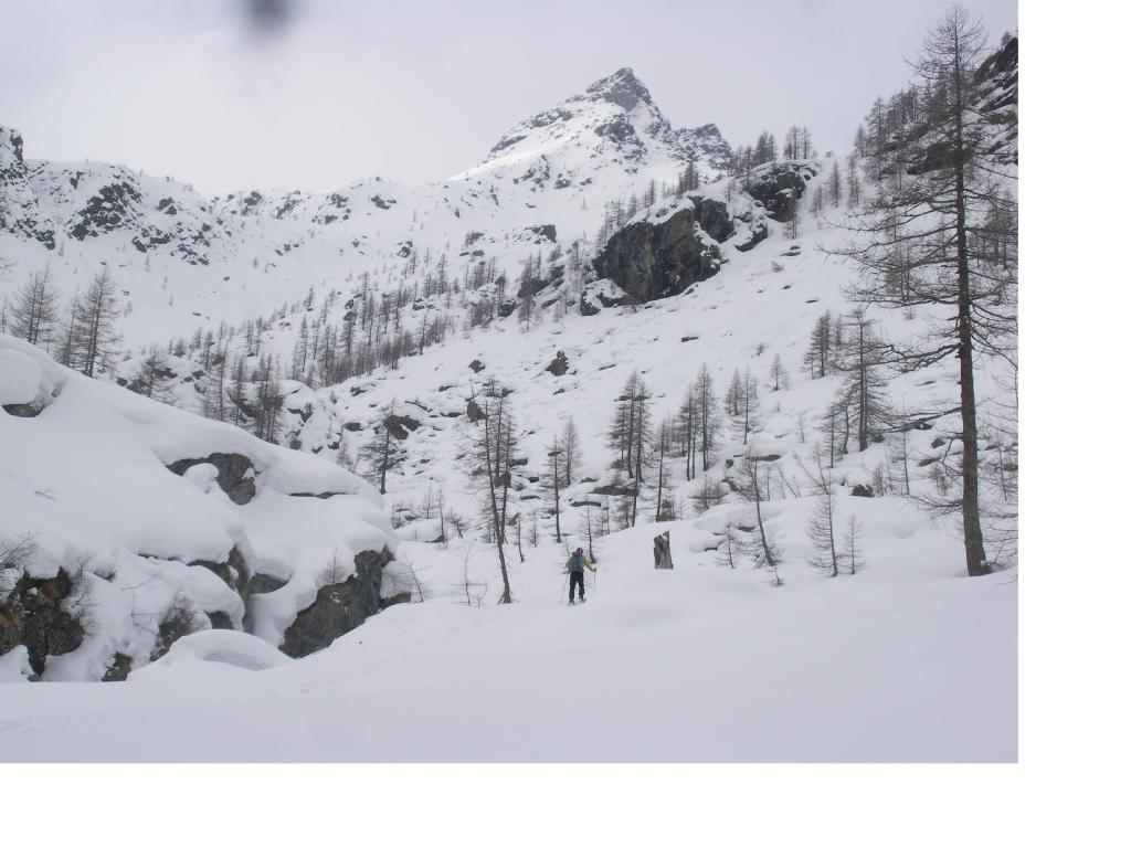 Il Bec di Laris dal vallone di Vercoche..