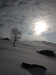 Velluto