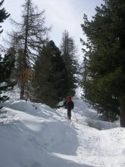 tratto lungo il sentiero estivo a poca distanza dall'ultima malga