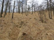 tratto centrale del percorso