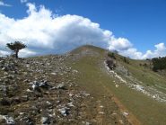 Salendo verso il Poggio Ceresa