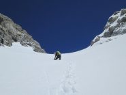 Macca esce al colletto