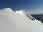 Antoroto dal colletto 2110