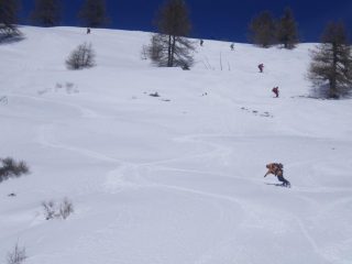  Lory con la tavola parte mediana
