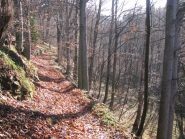Salendo da Meugliano verso Brosso