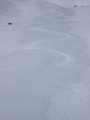 beh, a cercarla la neve buona c'era