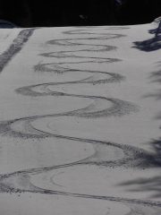 02 - la ricerca della firma perfetta...