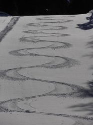 02 - la ricerca della firma perfetta...